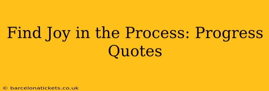 Find Joy in the Process: Progress Quotes