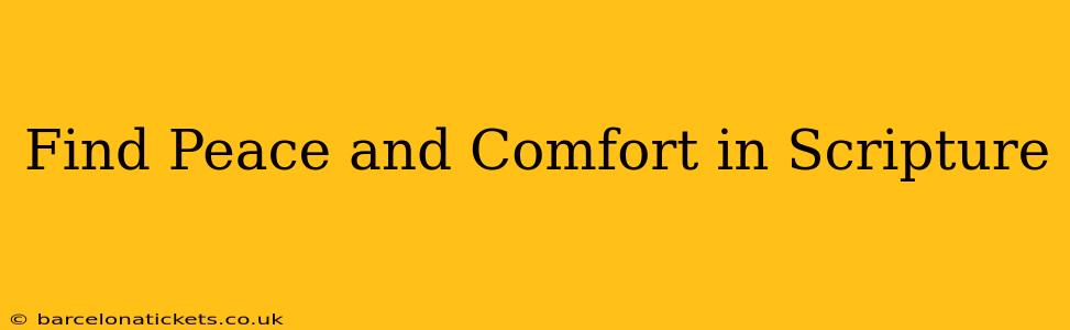 Find Peace and Comfort in Scripture