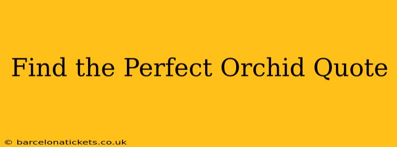 Find the Perfect Orchid Quote