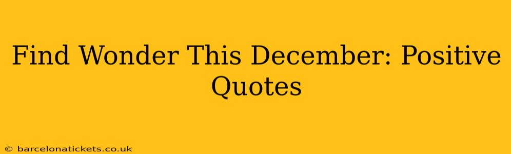 Find Wonder This December: Positive Quotes