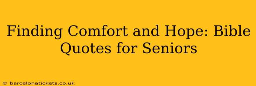 Finding Comfort and Hope: Bible Quotes for Seniors