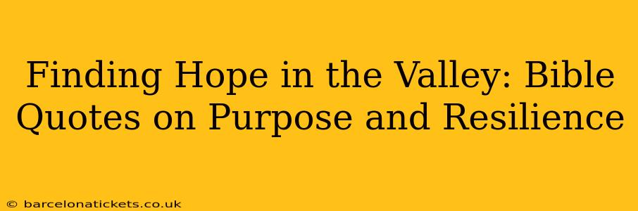 Finding Hope in the Valley: Bible Quotes on Purpose and Resilience