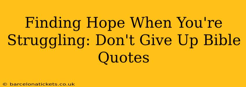 Finding Hope When You're Struggling: Don't Give Up Bible Quotes