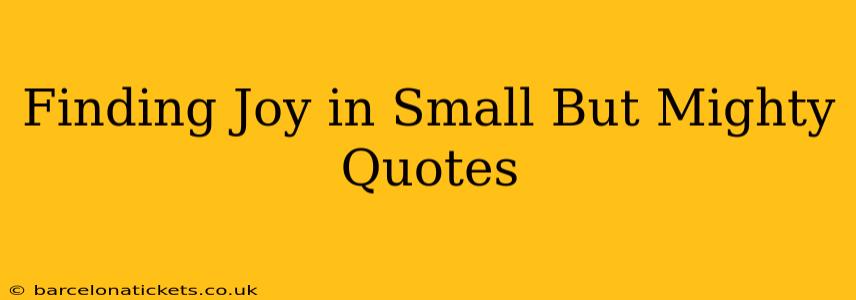 Finding Joy in Small But Mighty Quotes