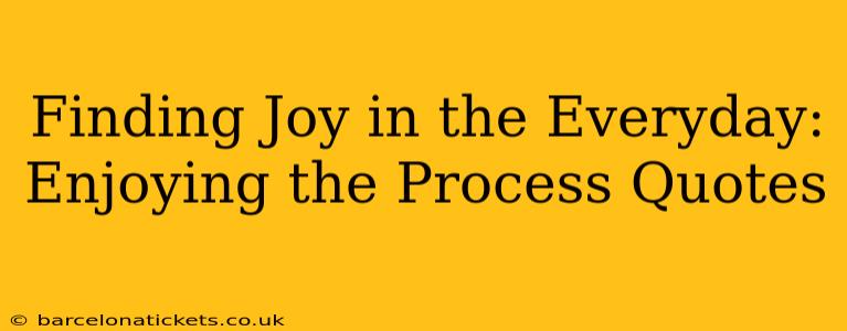 Finding Joy in the Everyday: Enjoying the Process Quotes