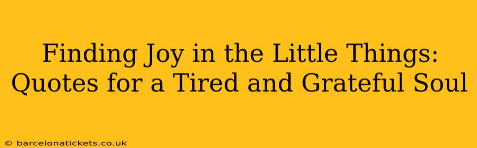 Finding Joy in the Little Things: Quotes for a Tired and Grateful Soul