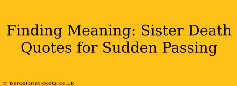 Finding Meaning: Sister Death Quotes for Sudden Passing