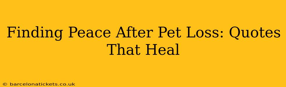 Finding Peace After Pet Loss: Quotes That Heal