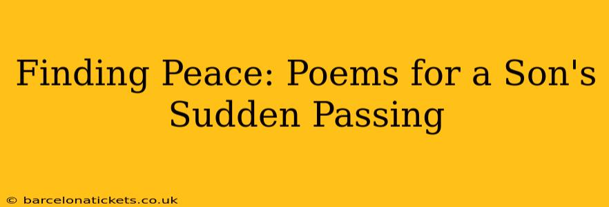 Finding Peace: Poems for a Son's Sudden Passing