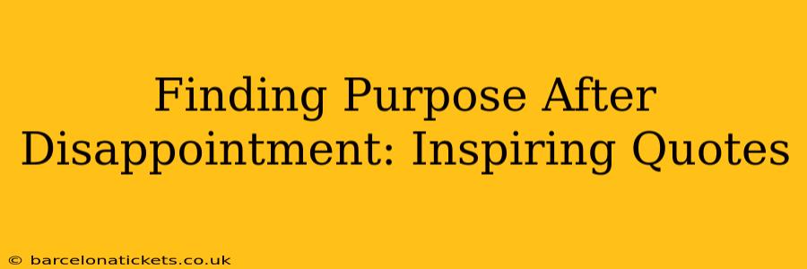 Finding Purpose After Disappointment: Inspiring Quotes