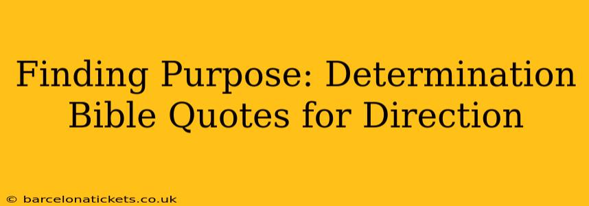Finding Purpose: Determination Bible Quotes for Direction