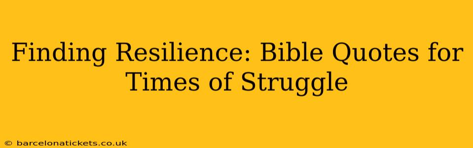 Finding Resilience: Bible Quotes for Times of Struggle