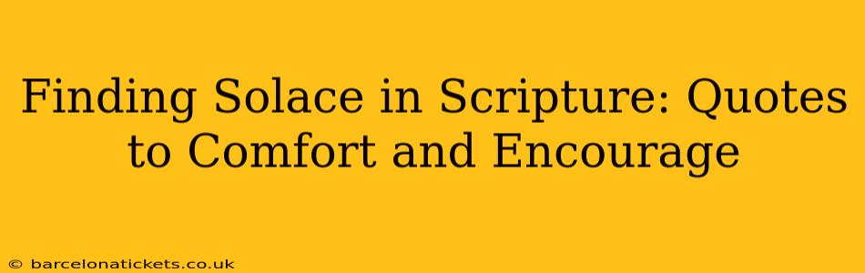 Finding Solace in Scripture: Quotes to Comfort and Encourage