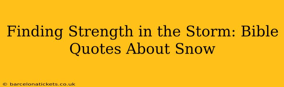 Finding Strength in the Storm: Bible Quotes About Snow