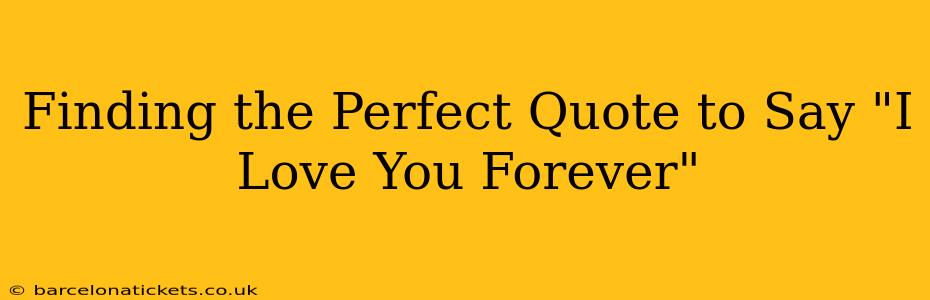Finding the Perfect Quote to Say "I Love You Forever"