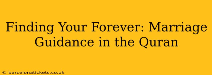 Finding Your Forever: Marriage Guidance in the Quran