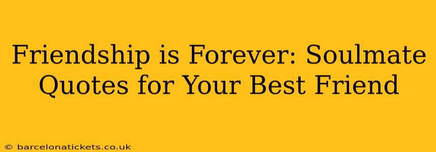 Friendship is Forever: Soulmate Quotes for Your Best Friend