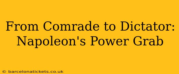 From Comrade to Dictator: Napoleon's Power Grab