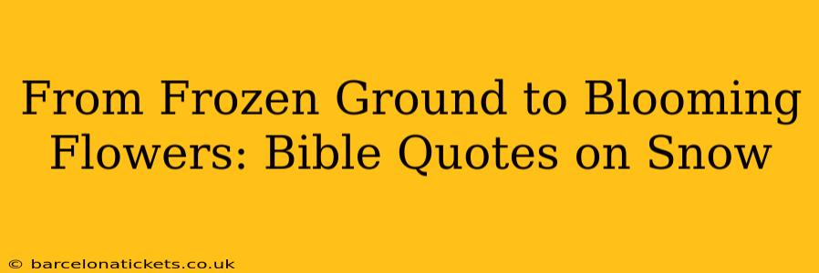 From Frozen Ground to Blooming Flowers: Bible Quotes on Snow