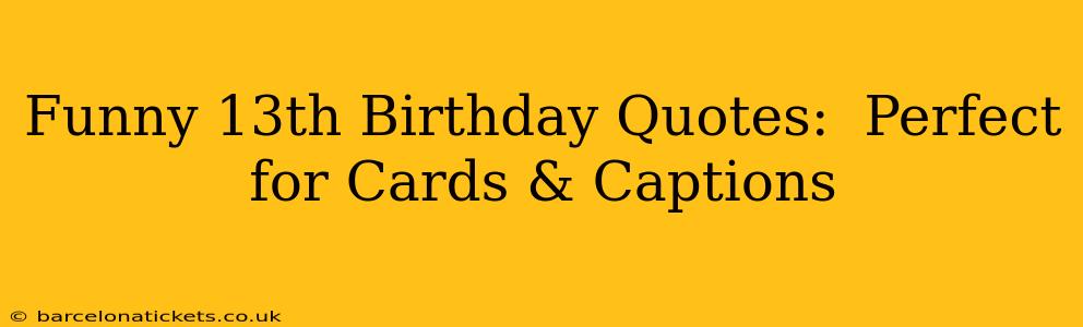 Funny 13th Birthday Quotes:  Perfect for Cards & Captions