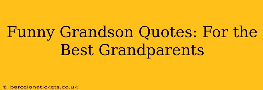Funny Grandson Quotes: For the Best Grandparents