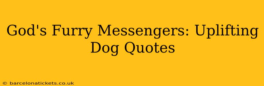 God's Furry Messengers: Uplifting Dog Quotes