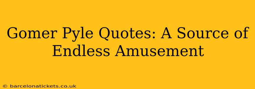 Gomer Pyle Quotes: A Source of Endless Amusement