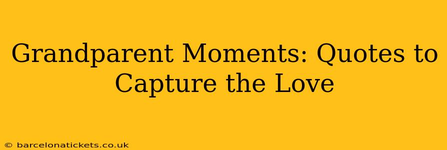 Grandparent Moments: Quotes to Capture the Love