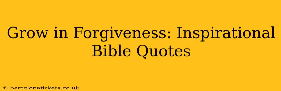 Grow in Forgiveness: Inspirational Bible Quotes