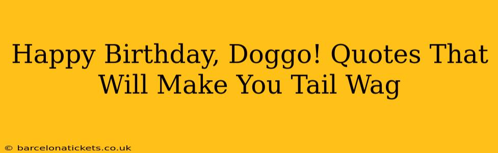 Happy Birthday, Doggo! Quotes That Will Make You Tail Wag