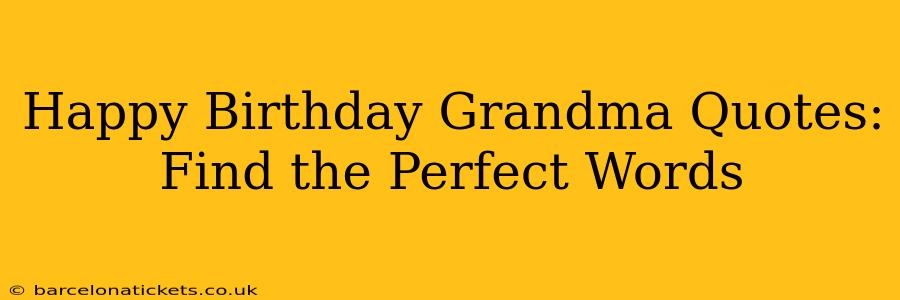 Happy Birthday Grandma Quotes: Find the Perfect Words