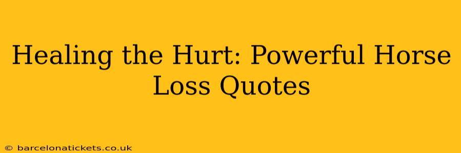 Healing the Hurt: Powerful Horse Loss Quotes