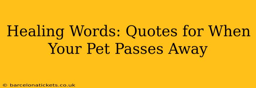 Healing Words: Quotes for When Your Pet Passes Away
