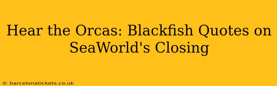 Hear the Orcas: Blackfish Quotes on SeaWorld's Closing