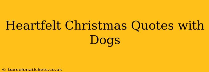 Heartfelt Christmas Quotes with Dogs