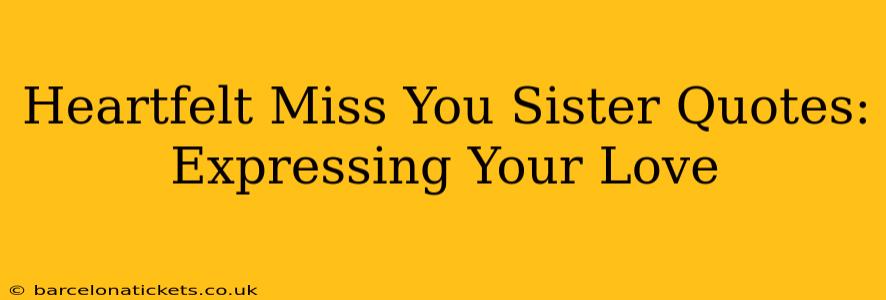 Heartfelt Miss You Sister Quotes: Expressing Your Love