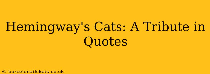 Hemingway's Cats: A Tribute in Quotes