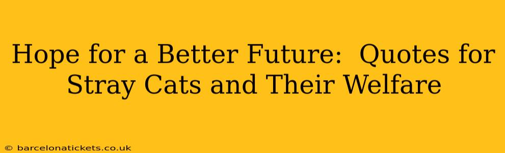 Hope for a Better Future:  Quotes for Stray Cats and Their Welfare