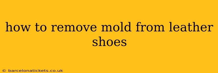 how to remove mold from leather shoes