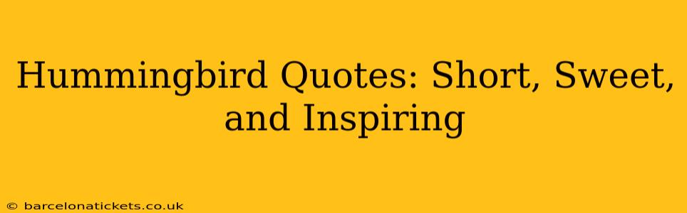 Hummingbird Quotes: Short, Sweet, and Inspiring
