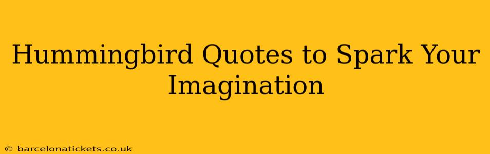 Hummingbird Quotes to Spark Your Imagination