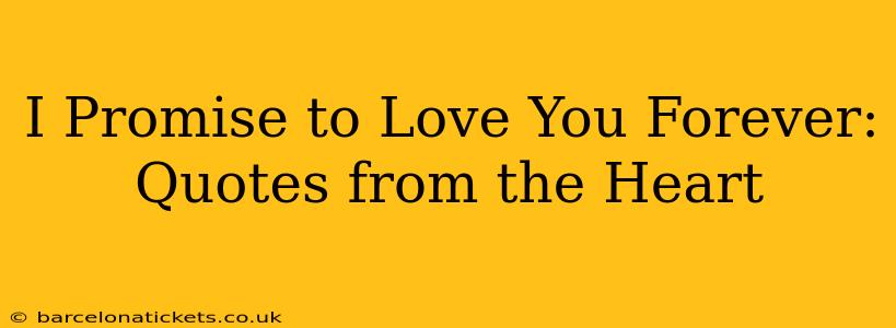 I Promise to Love You Forever: Quotes from the Heart
