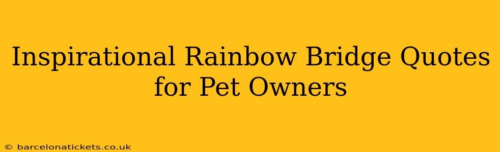 Inspirational Rainbow Bridge Quotes for Pet Owners