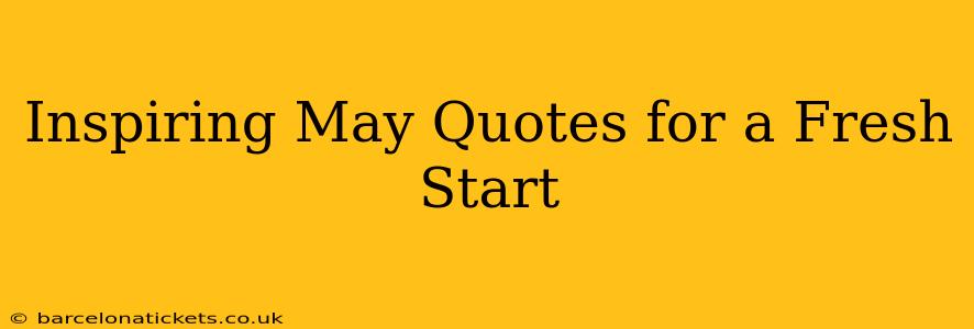 Inspiring May Quotes for a Fresh Start