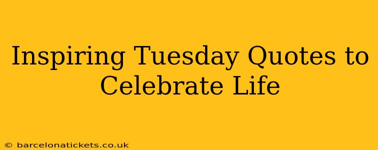 Inspiring Tuesday Quotes to Celebrate Life