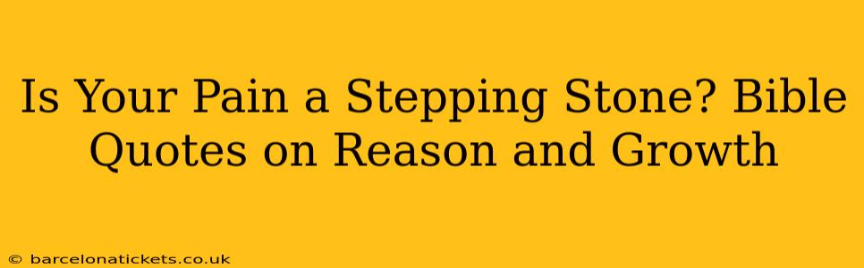 Is Your Pain a Stepping Stone? Bible Quotes on Reason and Growth