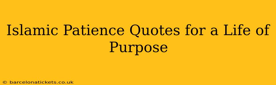 Islamic Patience Quotes for a Life of Purpose
