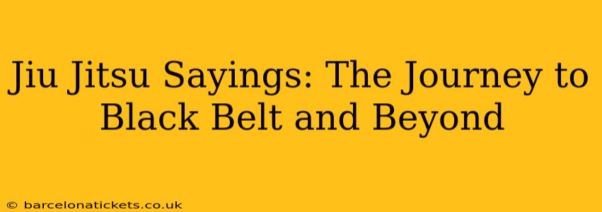 Jiu Jitsu Sayings: The Journey to Black Belt and Beyond