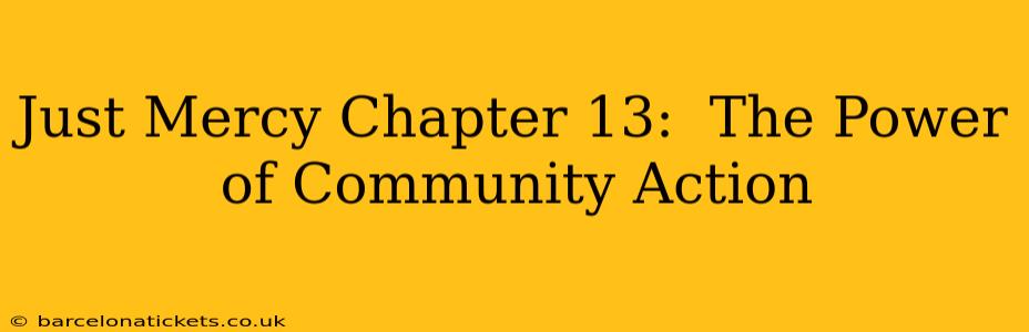 Just Mercy Chapter 13:  The Power of Community Action
