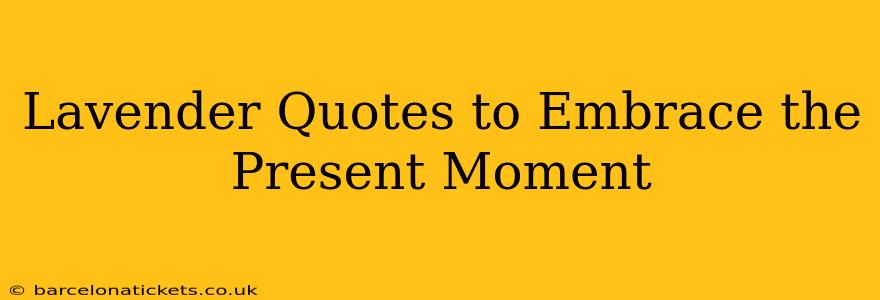Lavender Quotes to Embrace the Present Moment